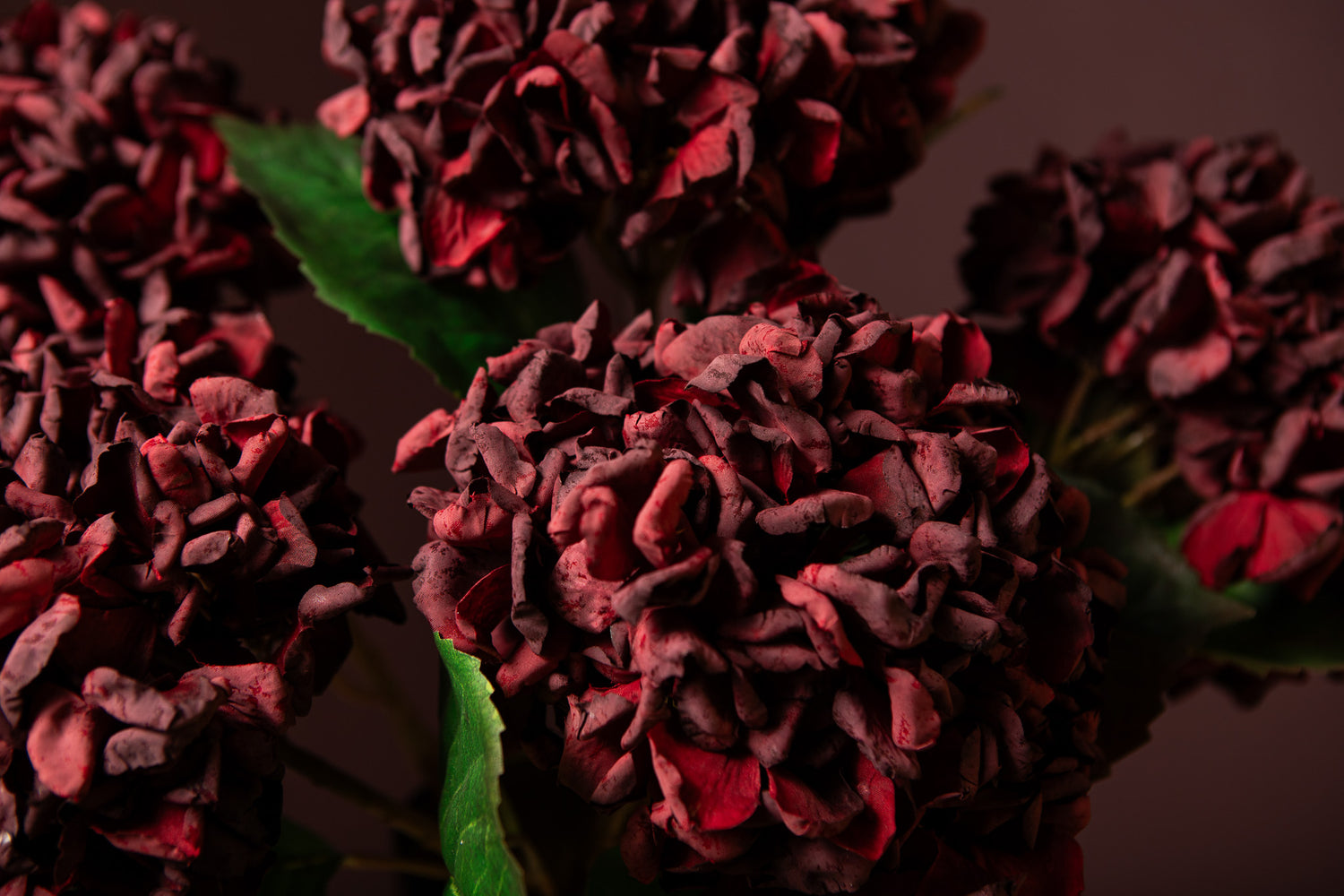 Hydrangea Bloem Rode Hortensia Tak Groot Set van 12 Stuks 46x20x12 cm