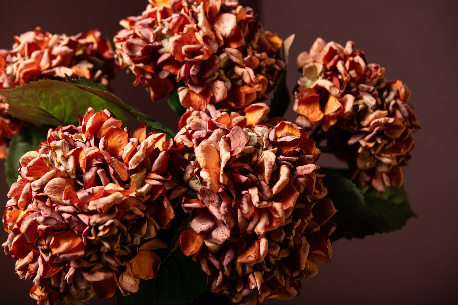 Hydrangea Flower Roestkleurige Hydrangea Tak Groot - Set van 12 46x20x12 cm
