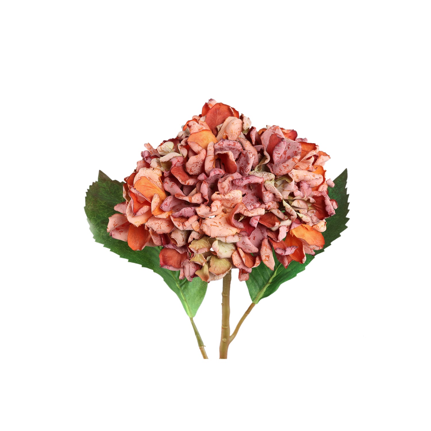 Hydrangea Flower Roestkleurige Hydrangea Tak Groot - Set van 12 46x20x12 cm