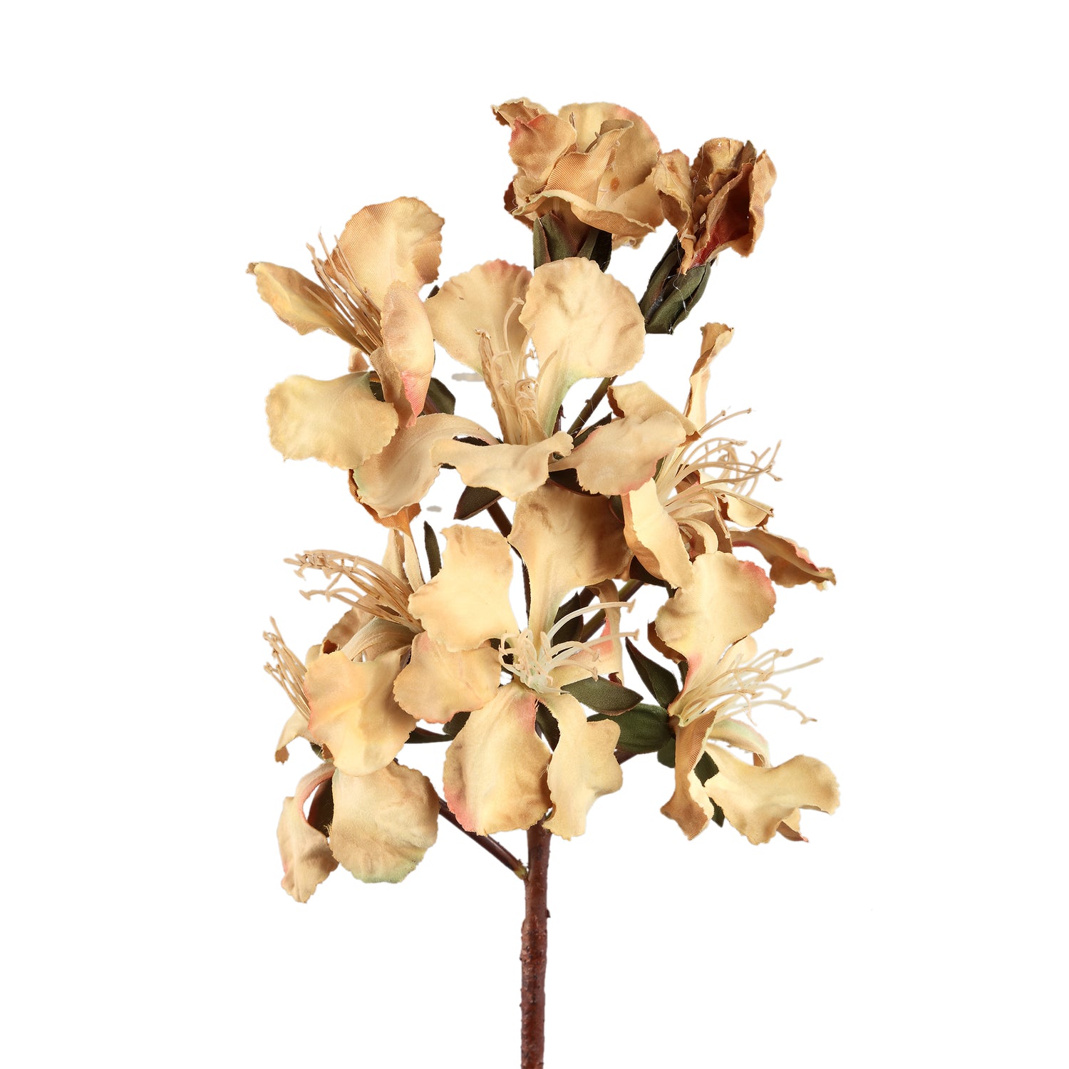 Lily Flower Lichtbruine Peruviaanse Lelie Tak - Set van 12 70x28x18 cm
