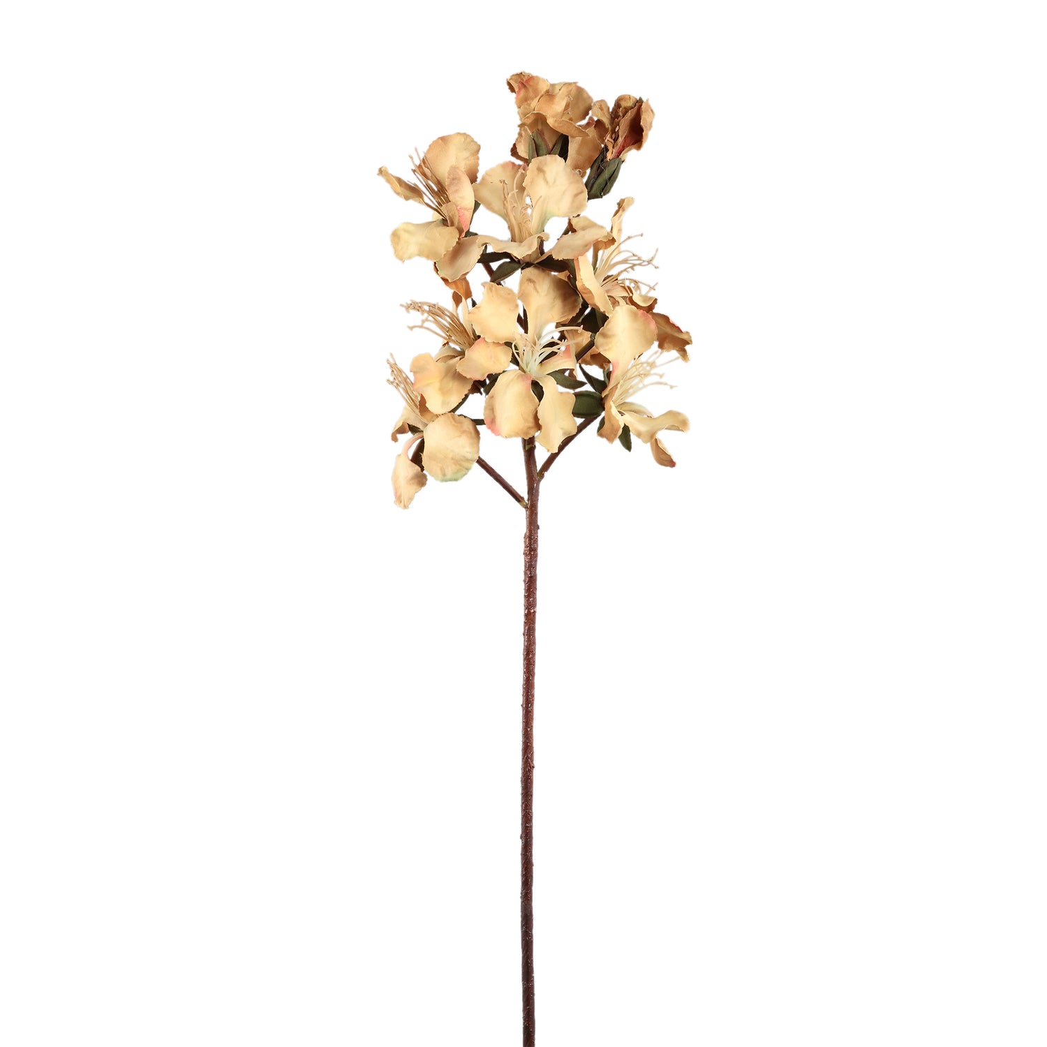 Lily Flower Lichtbruine Peruviaanse Lelie Tak - Set van 12 70x28x18 cm