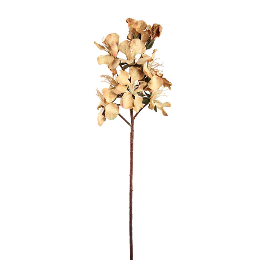 Lily Flower Lichtbruine Peruviaanse Lelie Tak - Set van 12 70x28x18 cm