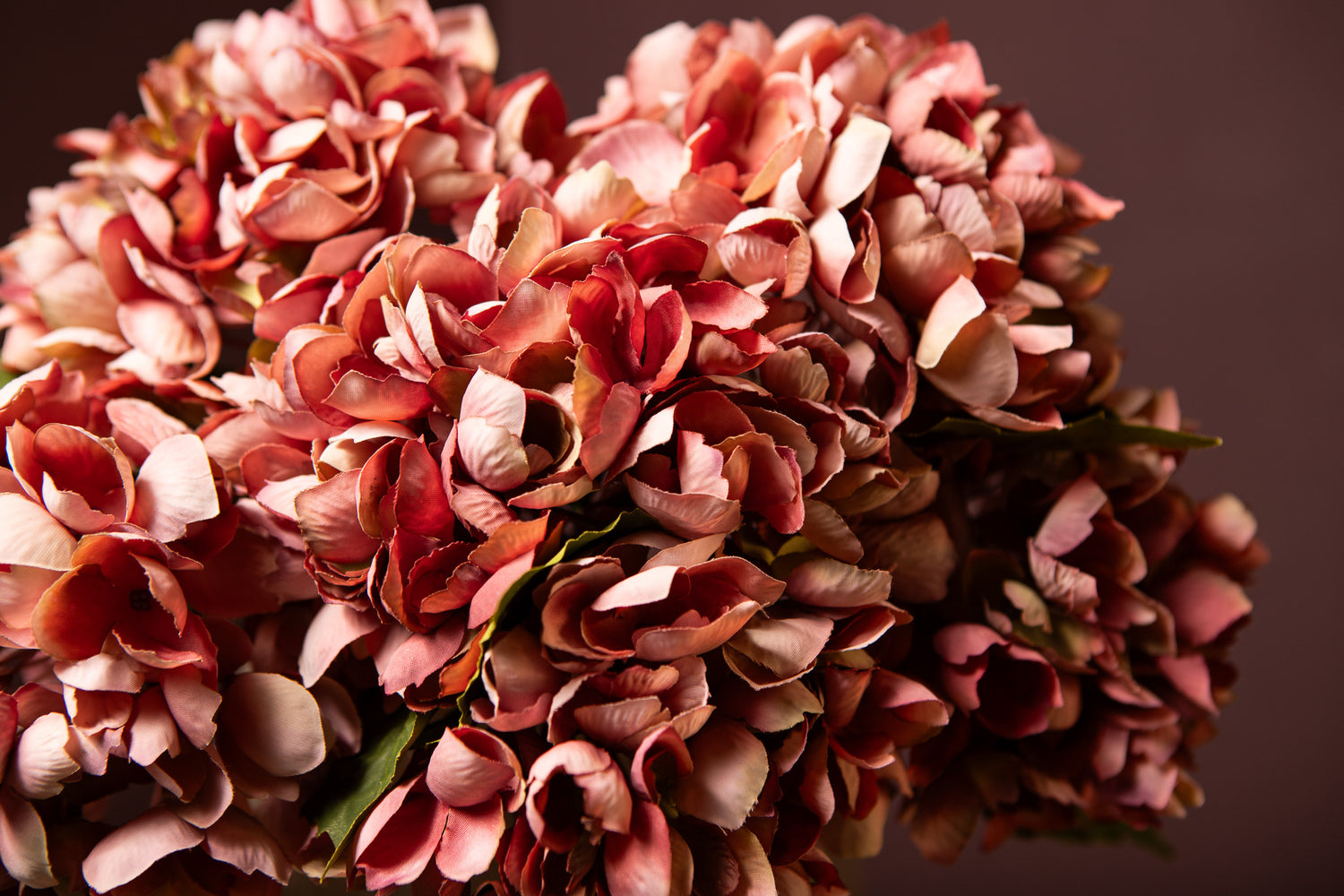 Hydrangea Flower Roze Hortensia Tak Klein Set van 12 Stuks 33x12x15 cm