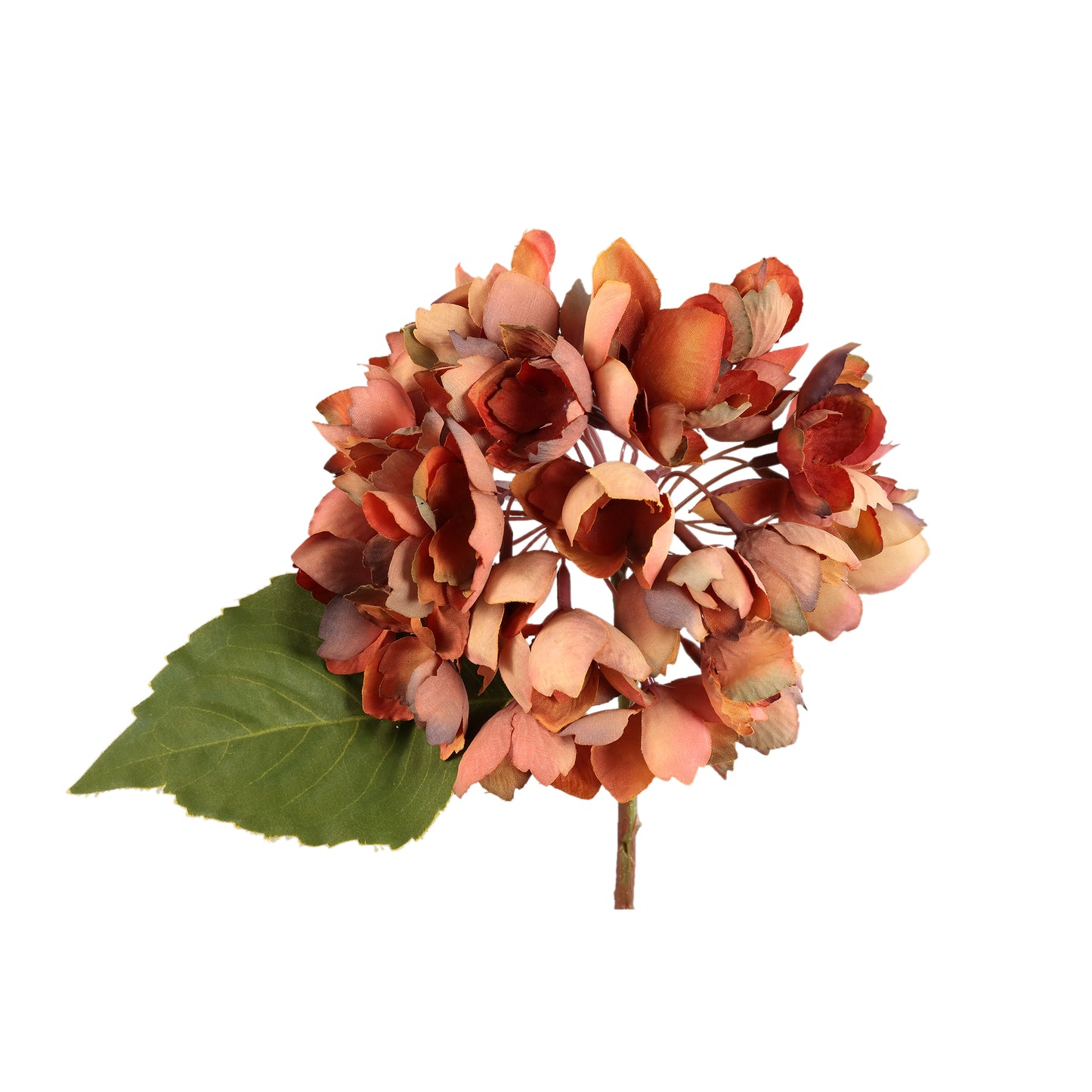 Hydrangea Flower Roestbruine Hortensia Tak Klein - Set van 12 - 12 Sets 33x12x15 cm