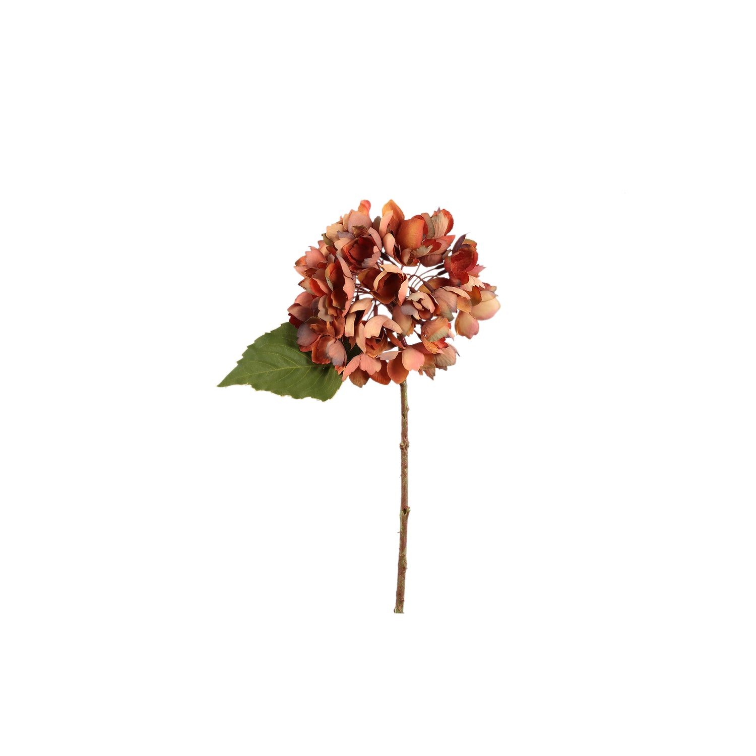 Hydrangea Flower Roestbruine Hortensia Tak Klein - Set van 12 - 12 Sets 33x12x15 cm
