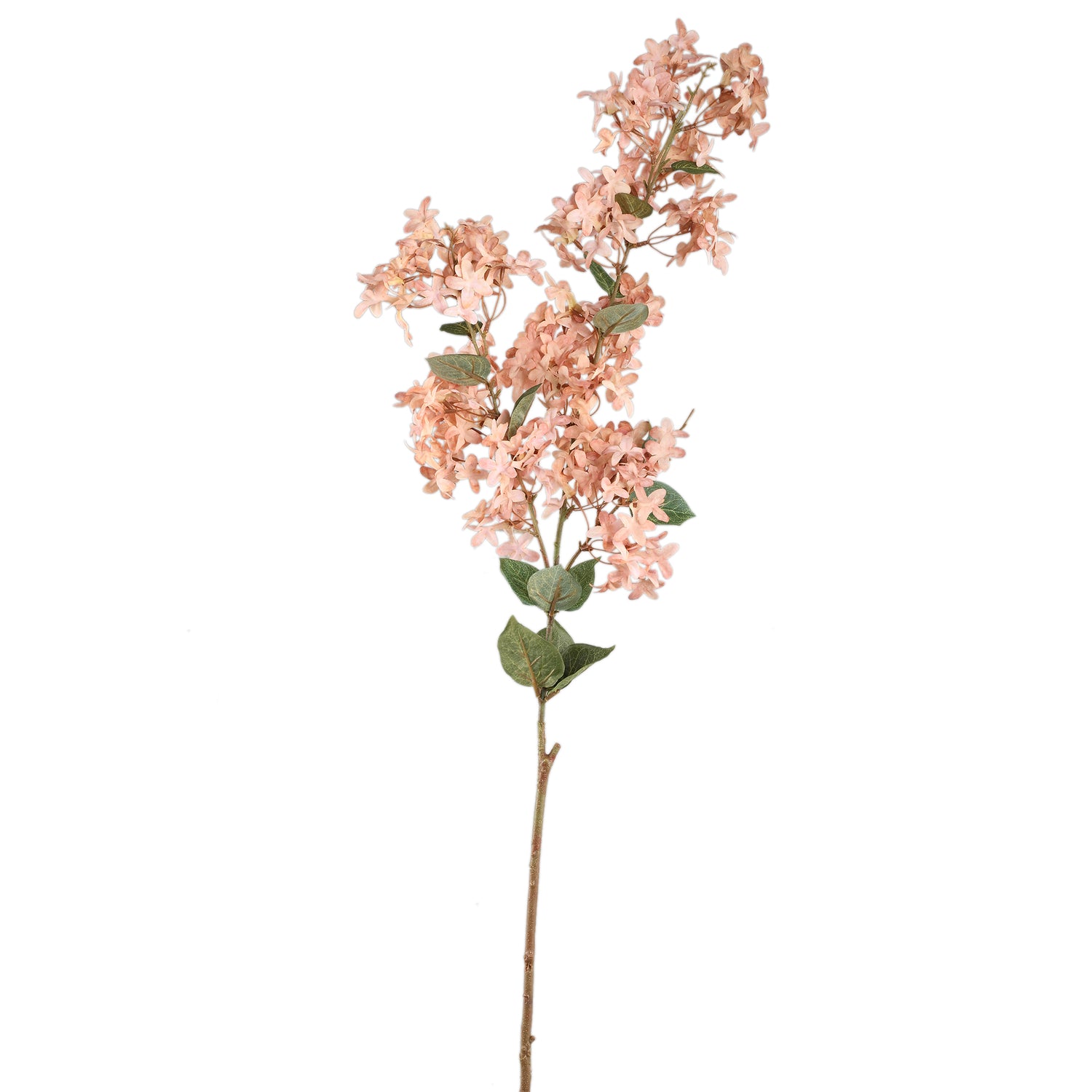 Garden Flower Crème Jasmijn Spray Set Van 6 Stuks - 6 Sets 117x50x35 cm