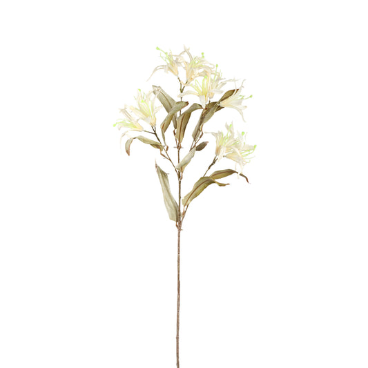 Garden Flower Natuurlijke Bauhinia Spray - Set van 12 85x30x12 cm
