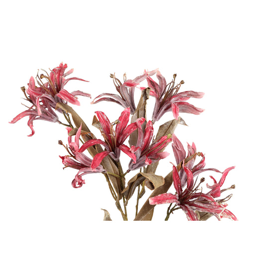 Garden Flower Bordeaux Bauhinia Spray Set van 12 Stuks - 12 Sets 85x30x12 cm