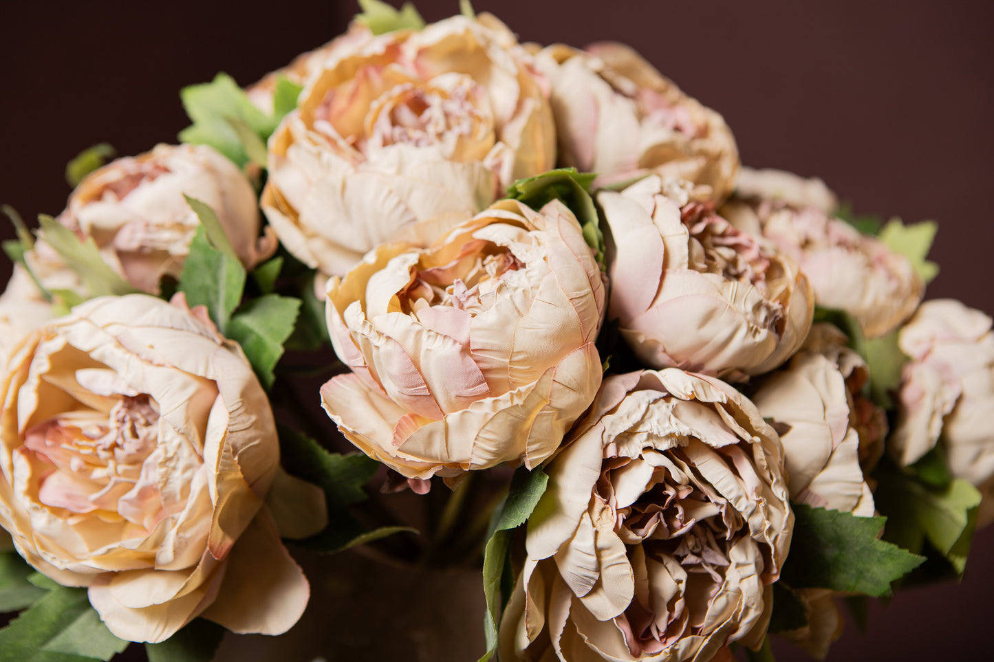 Peony Flower Creme Pioenroos Struik - Set van 12 43x12x18 cm