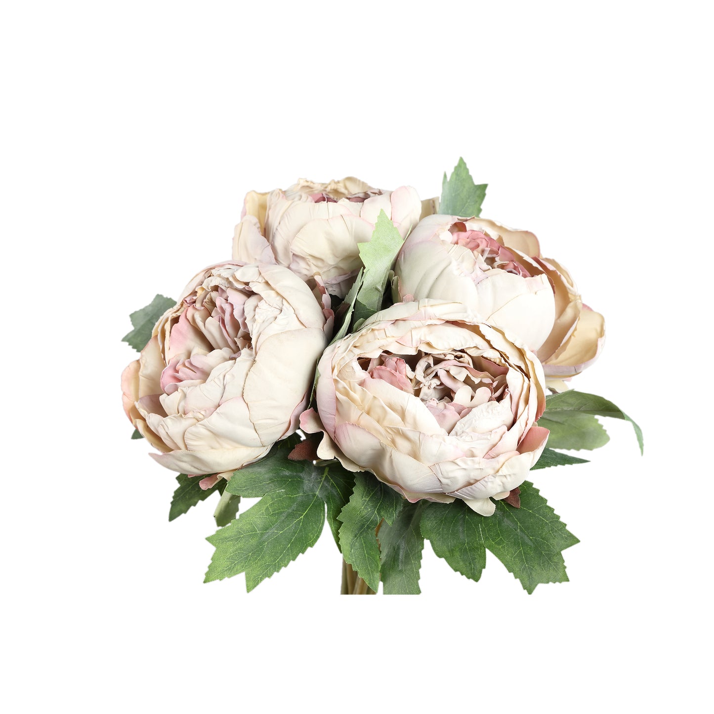 Peony Flower Creme Pioenroos Struik - Set van 12 43x12x18 cm