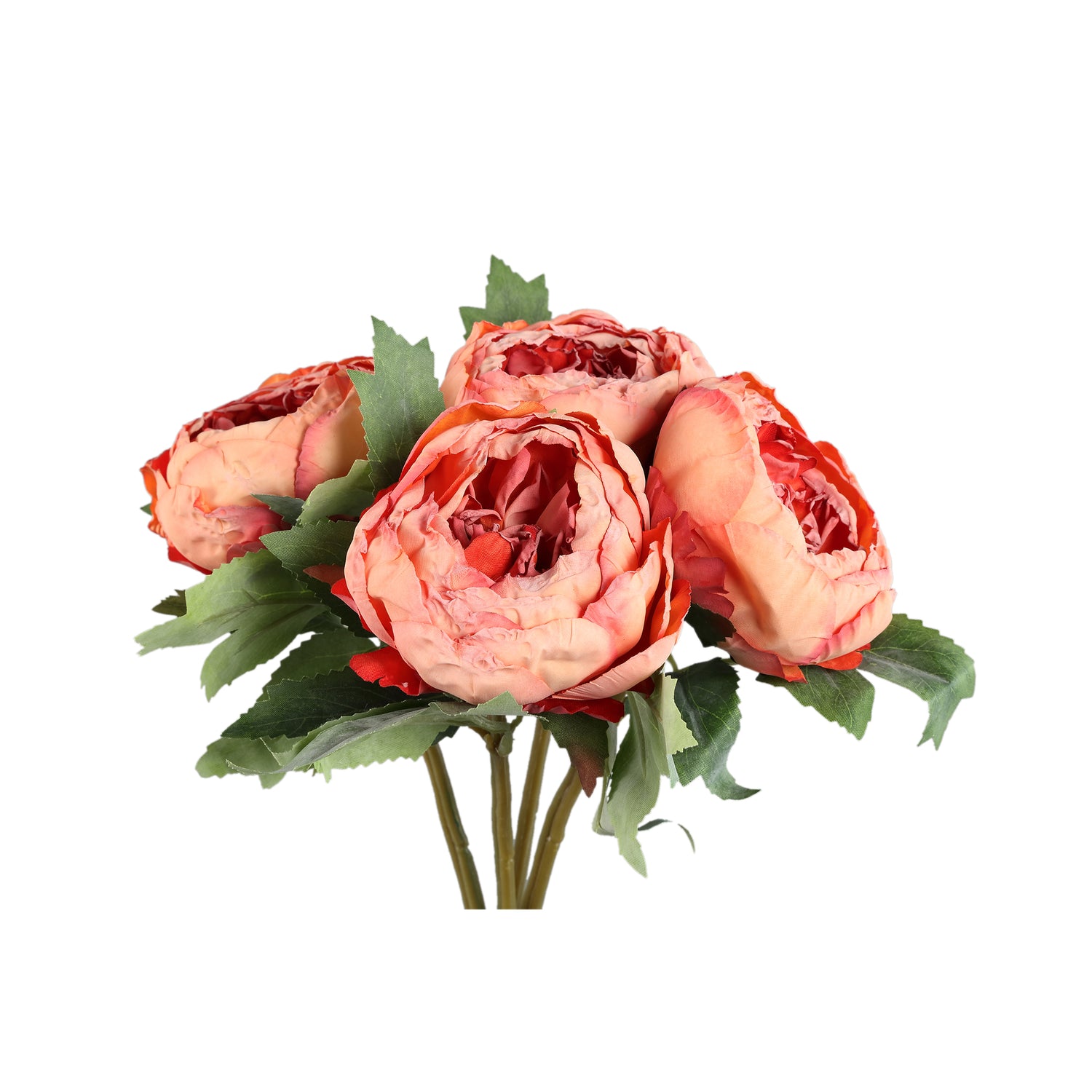 Pioenroos Bloem Oranje Pioenroos Struik - Set van 12 43x12x18 cm