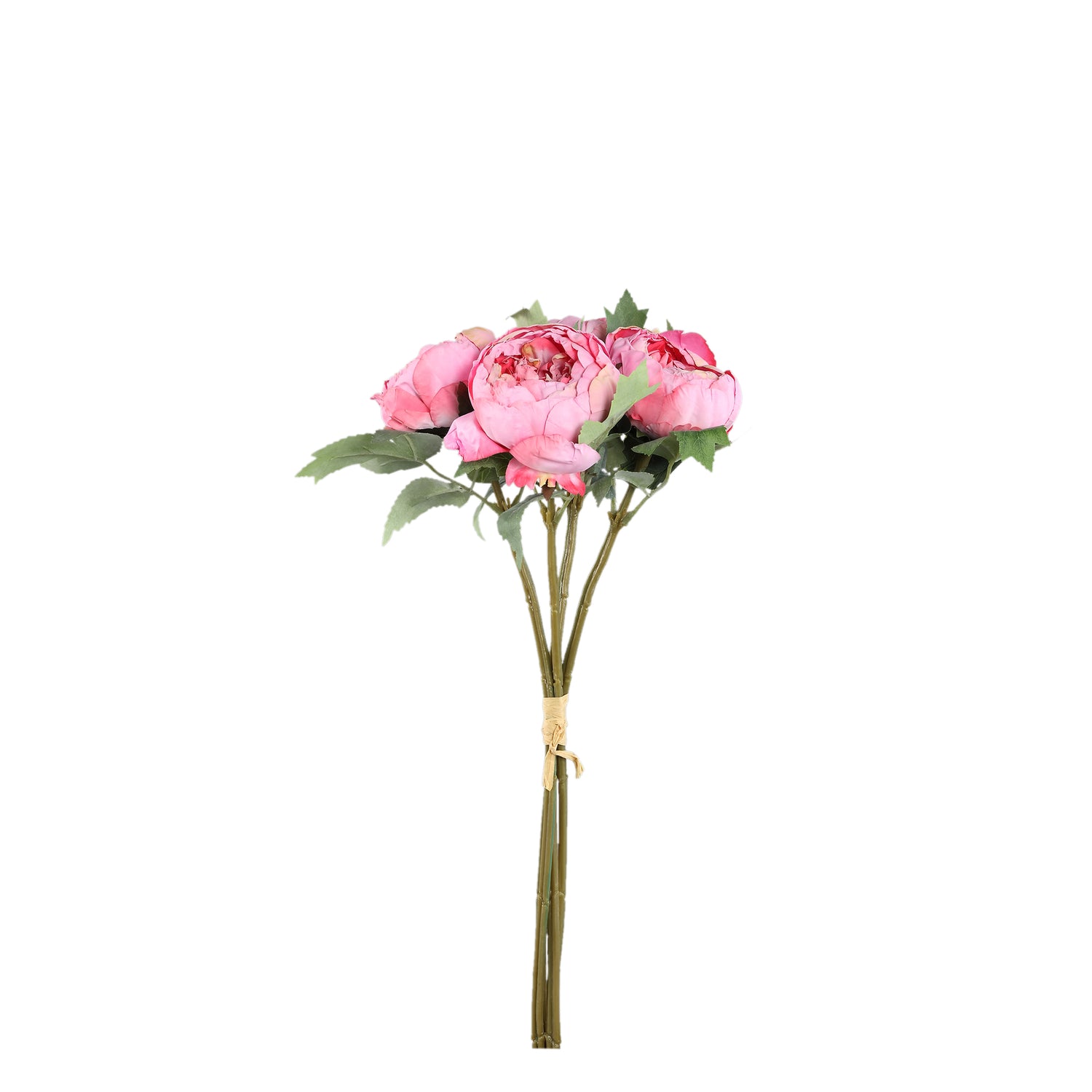 Peony Flower Donkerroze Pioenroos Struik - Set van 12 43x12x18 cm