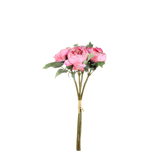 Peony Flower Donkerroze Pioenroos Struik - Set van 12 43x12x18 cm