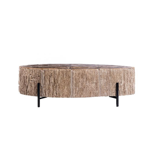 Taly Natuurlijke Versteende Koffietafel Glasvezel L 40x120x100 cm