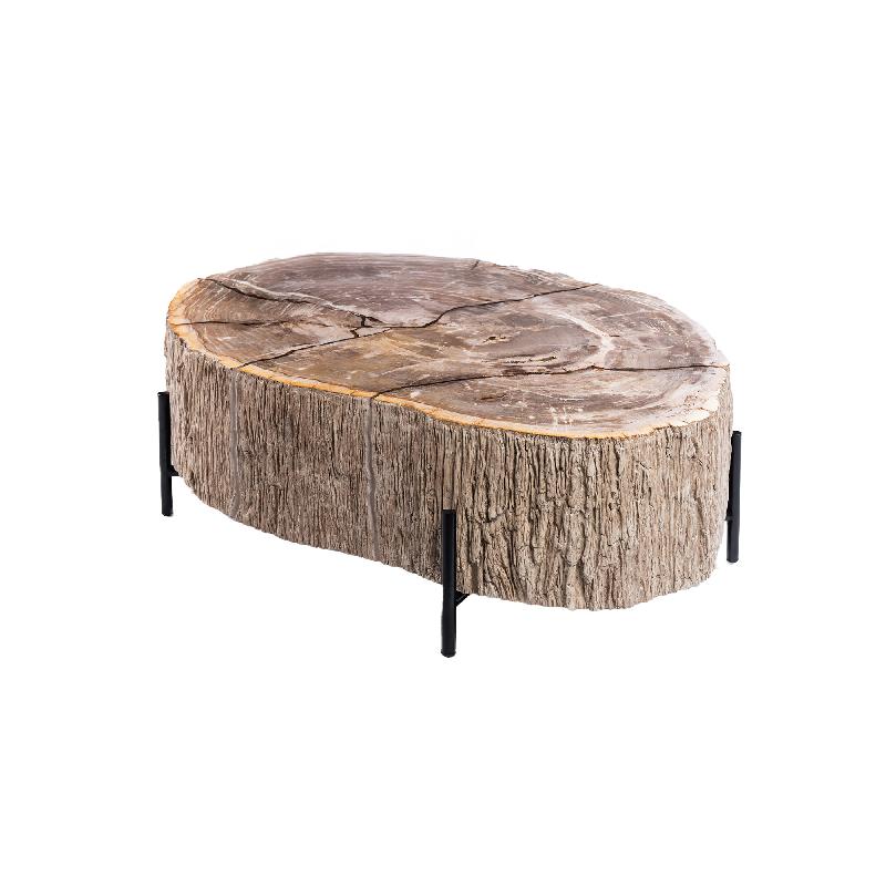 Taly Natuurlijke Versteende Koffietafel Glasvezel L 40x120x100 cm