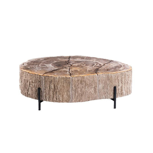 Taly Natuurlijke Versteende Koffietafel Glasvezel L 40x120x100 cm