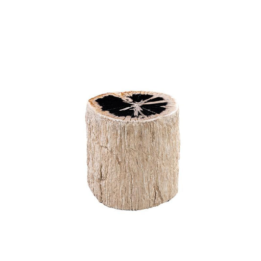Taly Natuurlijke Versteende Hout Ronde Kruk Glasvezel 45x30x40 cm