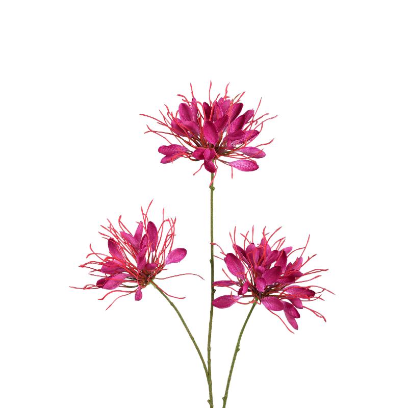 Garden Flower Bourgondische Spinnenbloem Spray - Set van 12 94x50x26 cm