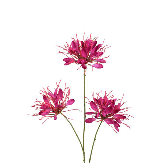 Garden Flower Bourgondische Spinnenbloem Spray - Set van 12 94x50x26 cm