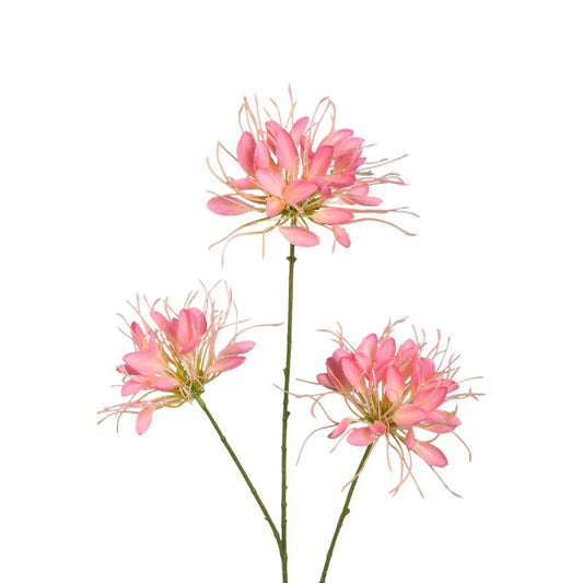 Garden Flower Roze Spinnenbloem Spray - Set van 12 94x50x26 cm