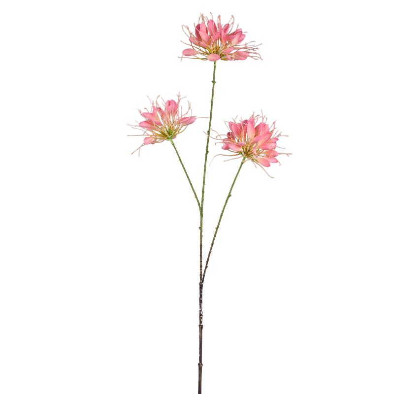 Garden Flower Roze Spinnenbloem Spray - Set van 12 94x50x26 cm