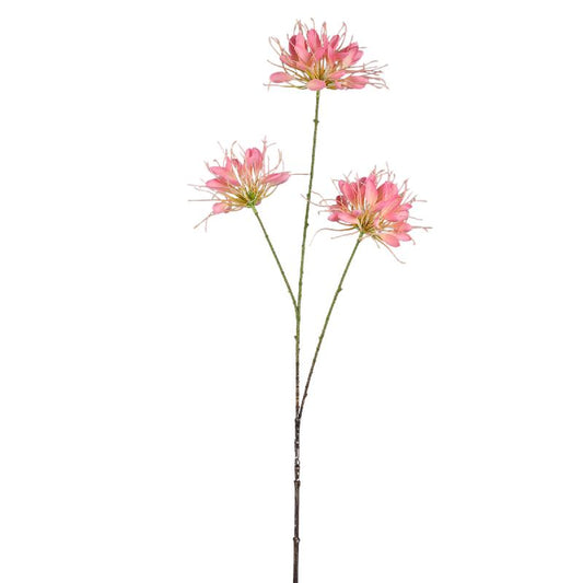 Garden Flower Roze Spinnenbloem Spray - Set van 12 94x50x26 cm