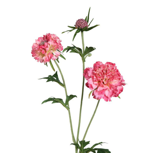 Garden Flower Fel Roze Scabiosa Spray Met Knop - Set van 12 72x32x21 cm