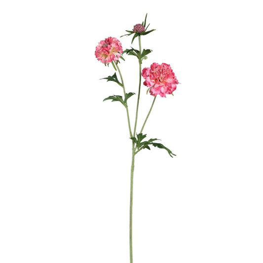 Garden Flower Fel Roze Scabiosa Spray Met Knop - Set van 12 72x32x21 cm