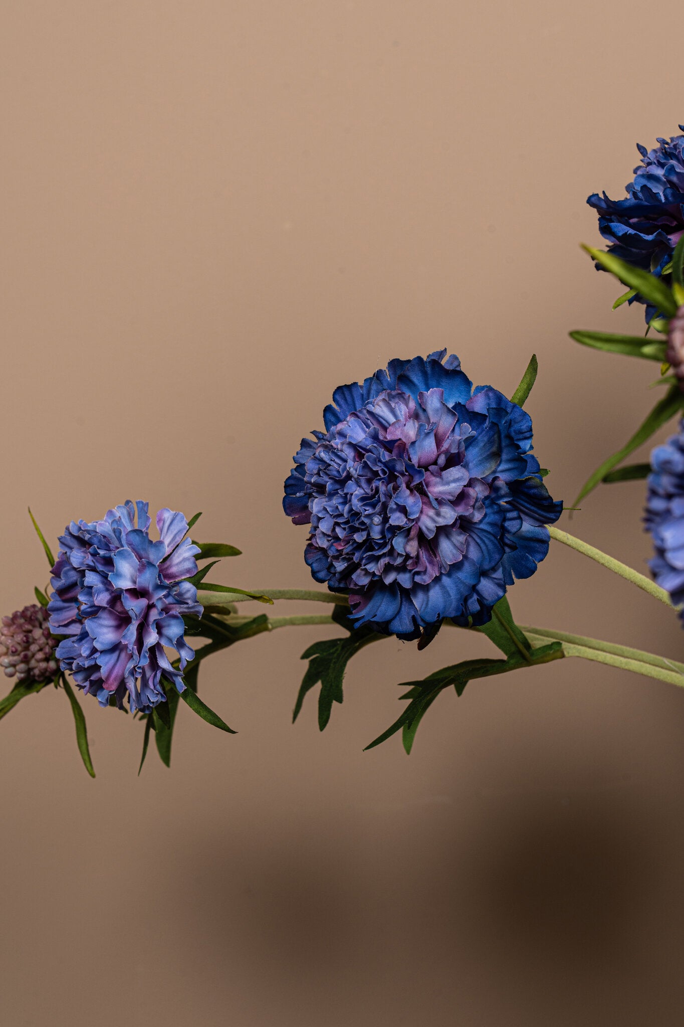 Garden Flower Blauwe Scabiosa Met Knop - Set van 12 72x32x21 cm