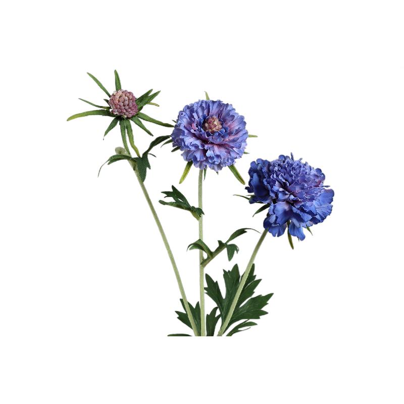 Garden Flower Blauwe Scabiosa Met Knop - Set van 12 72x32x21 cm