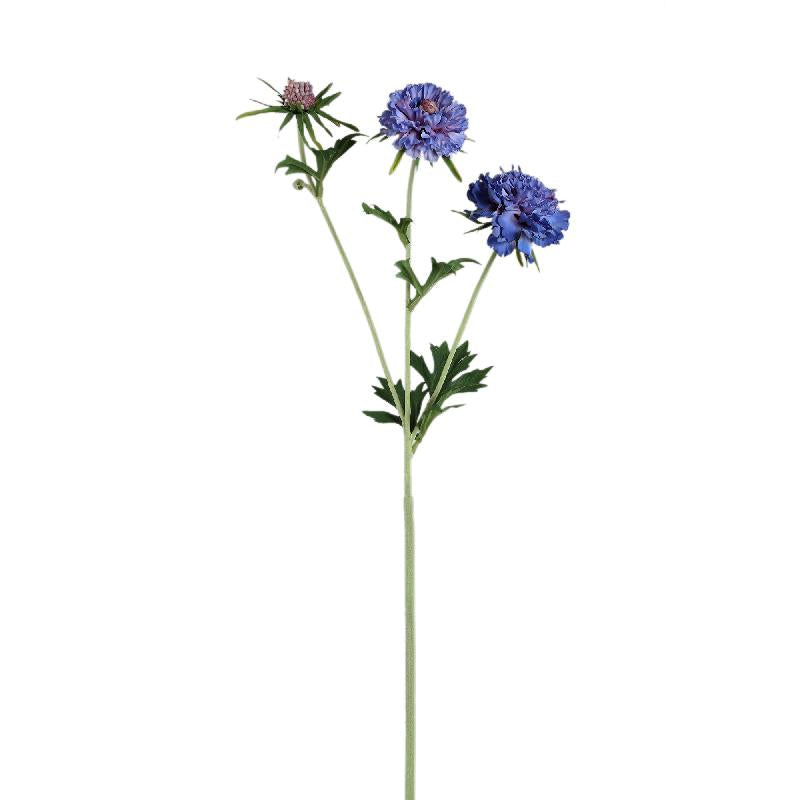 Garden Flower Blauwe Scabiosa Met Knop - Set van 12 72x32x21 cm