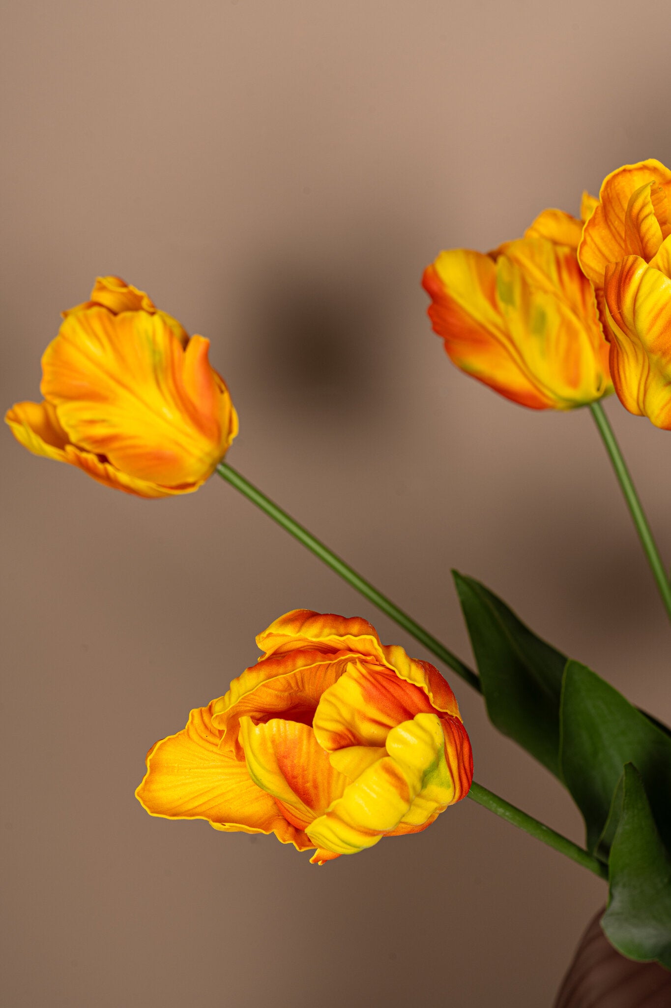 Tulip Flower Oranje Papegaai Tulp Met Bladeren - Set van 12 Stuks 67x40x9 cm