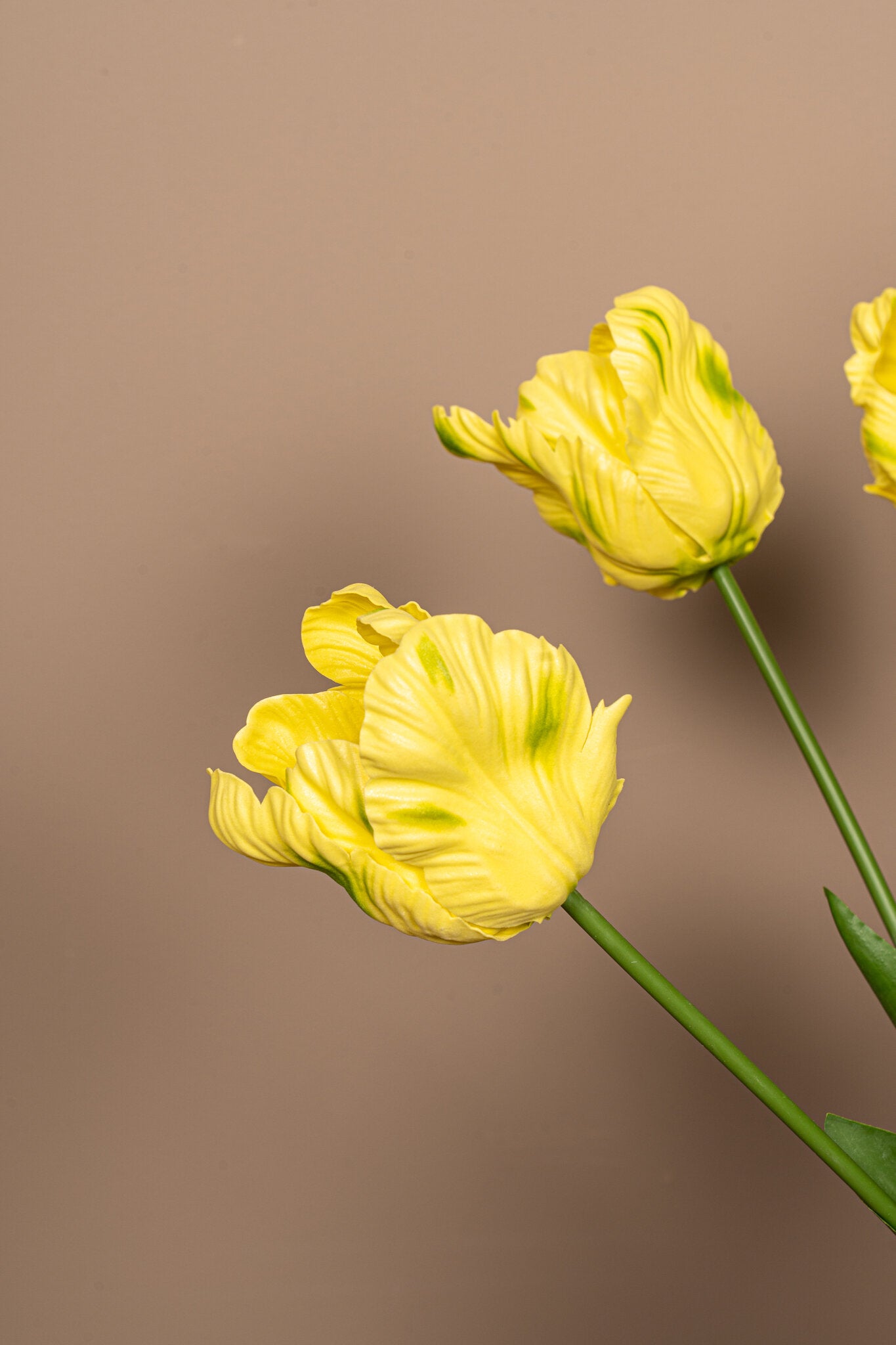 Tulp Bloem Gele Papegaaientulp Met Bladeren - Set van 12 67x40x9 cm