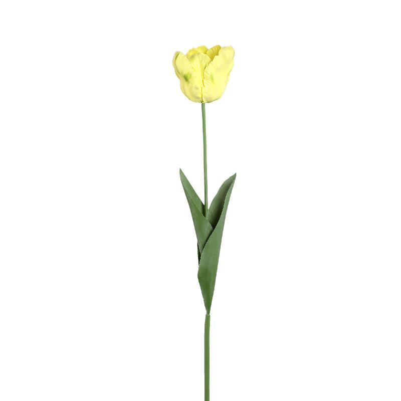 Tulp Bloem Gele Papegaaientulp Met Bladeren - Set van 12 67x40x9 cm