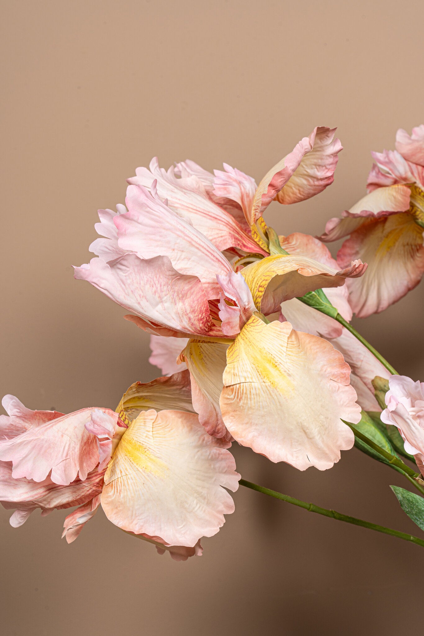 Garden Flower Roze Iris Spray Met Knop - Set van 12 80x46x16 cm