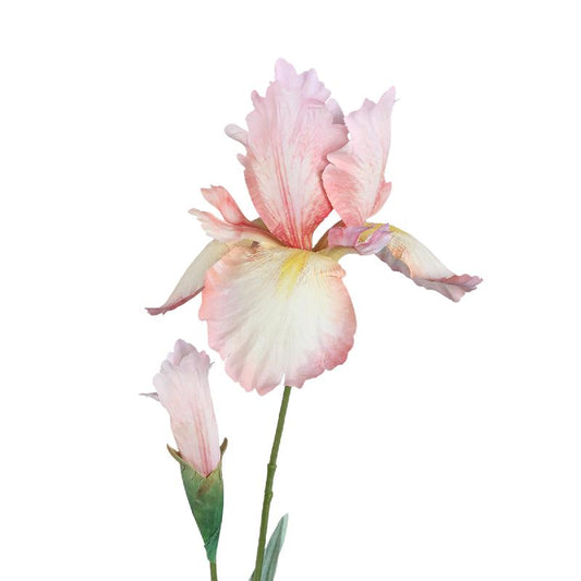 Garden Flower Roze Iris Spray Met Knop - Set van 12 80x46x16 cm