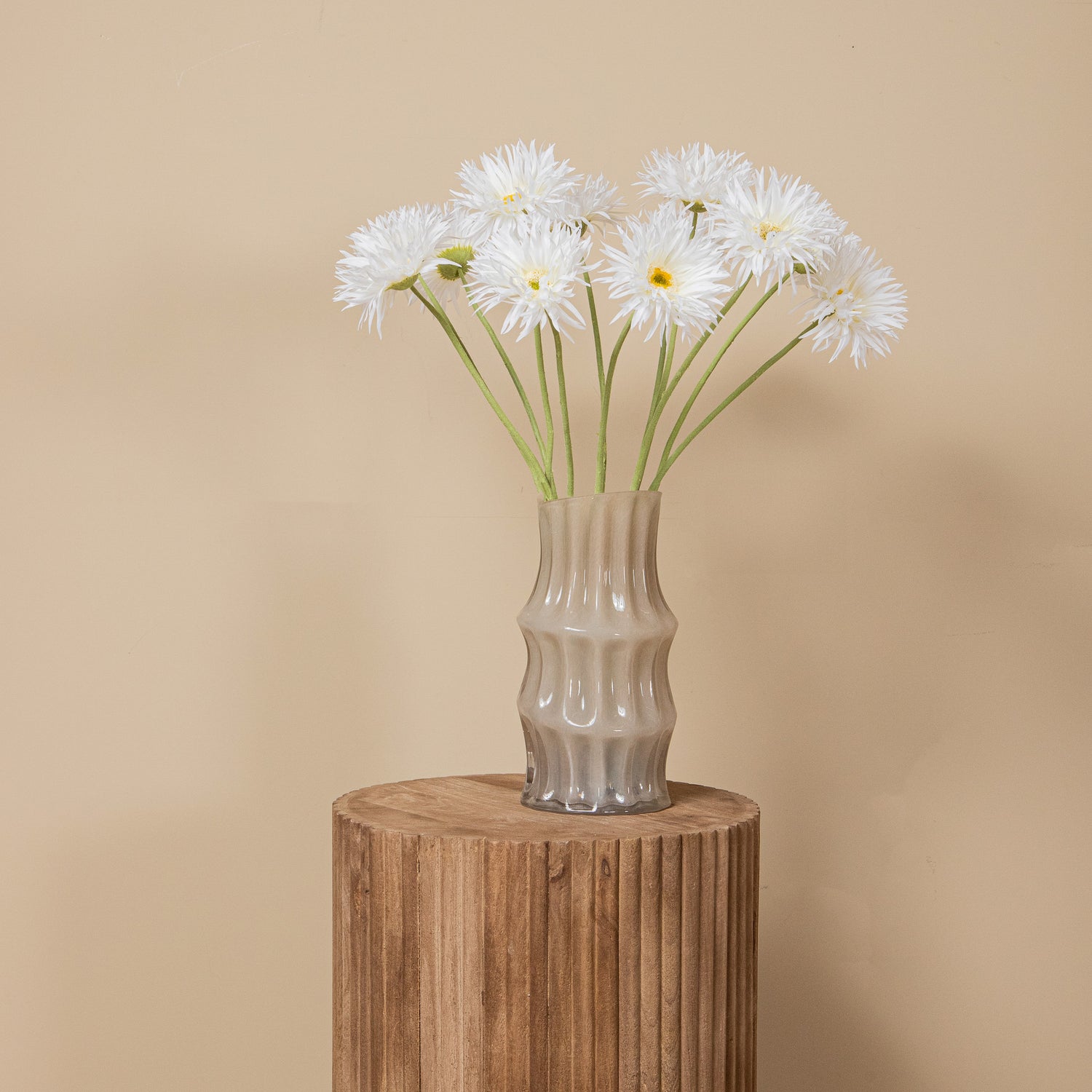 Gerbera Bloem Witte Gerbera - Set van 12 55x12x9 cm