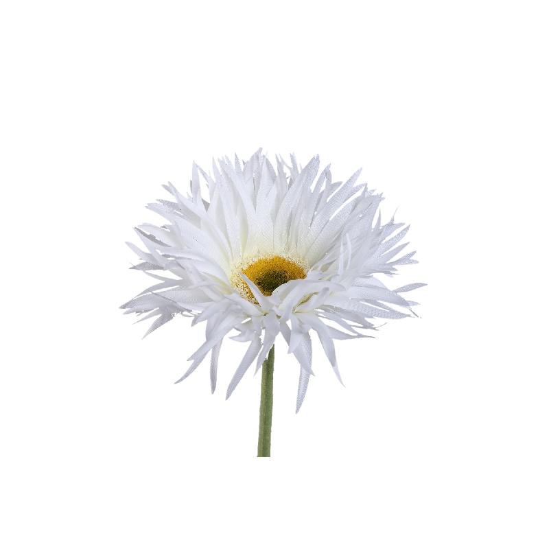 Gerbera Bloem Witte Gerbera - Set van 12 55x12x9 cm