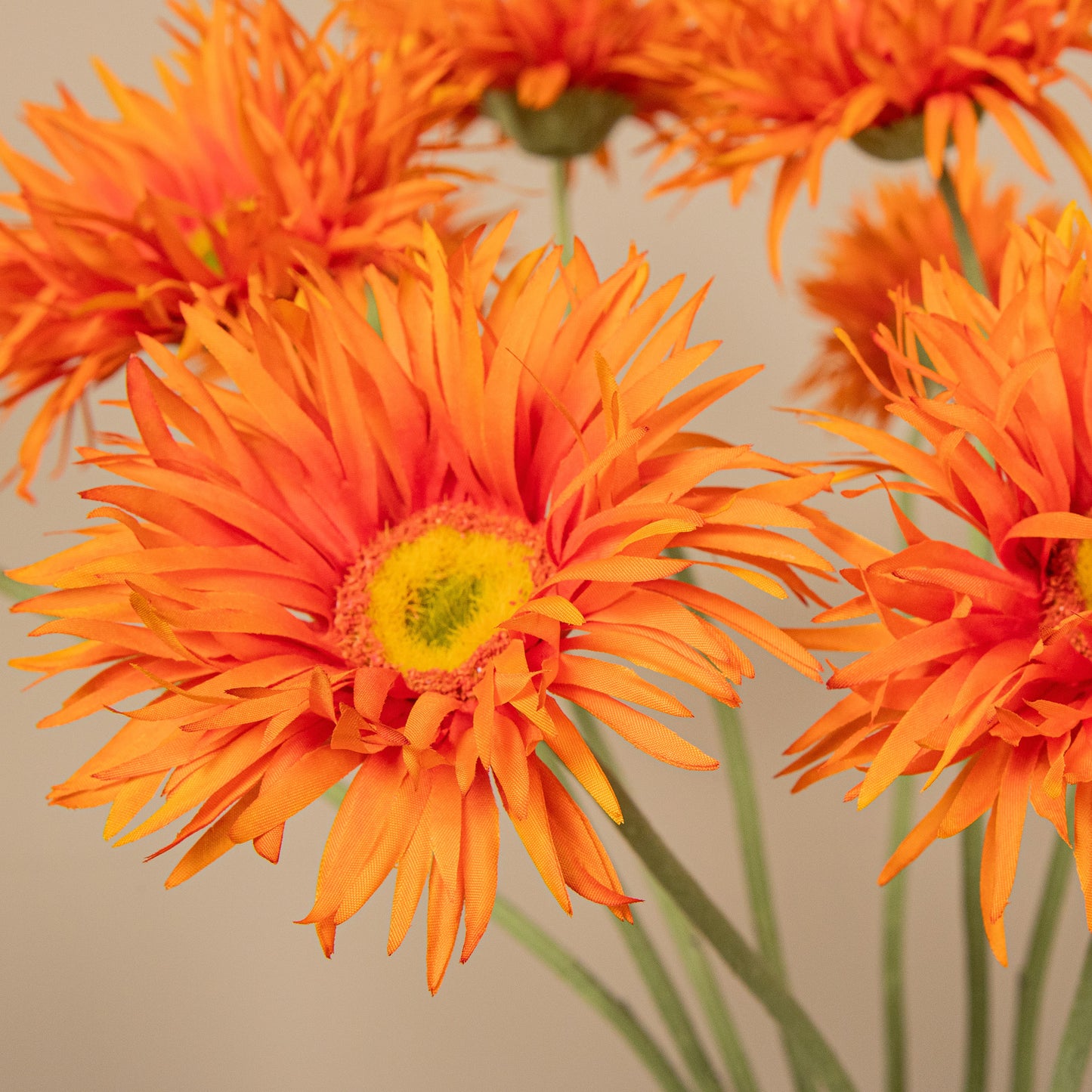 Gerbera Bloem Oranje Kunstbloem - Set van 12 55x12x9 cm