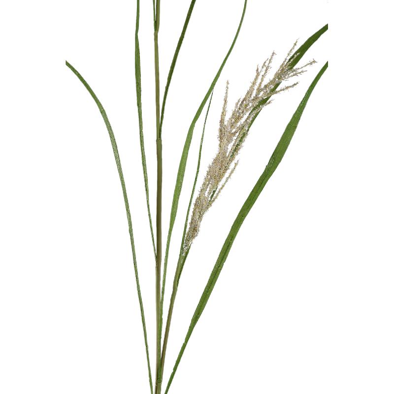 Leaves Plant Groen Beige Phalaris Grass Spray - Set van 12 157x100x24 cm