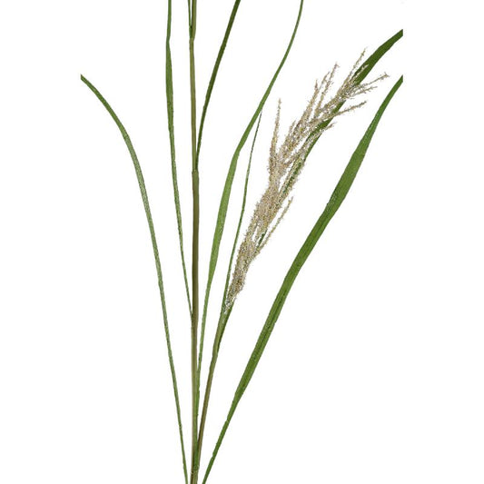 Leaves Plant Groen Beige Phalaris Grass Spray - Set van 12 157x100x24 cm