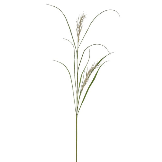 Leaves Plant Groen Beige Phalaris Grass Spray - Set van 12 157x100x24 cm