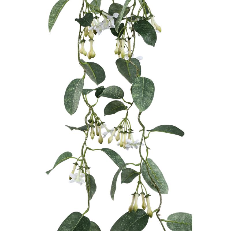 Leaves Plant Groen Wit Stephanotis Hangend Set van 6 Stuks 160x130x17 cm