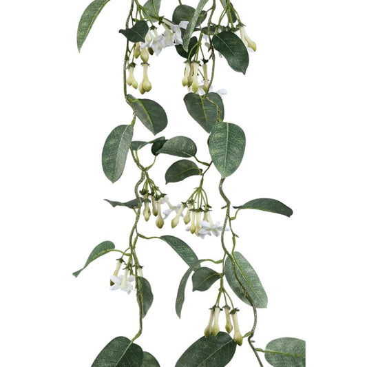 Leaves Plant Groen Wit Stephanotis Hangend Set van 6 Stuks 160x130x17 cm