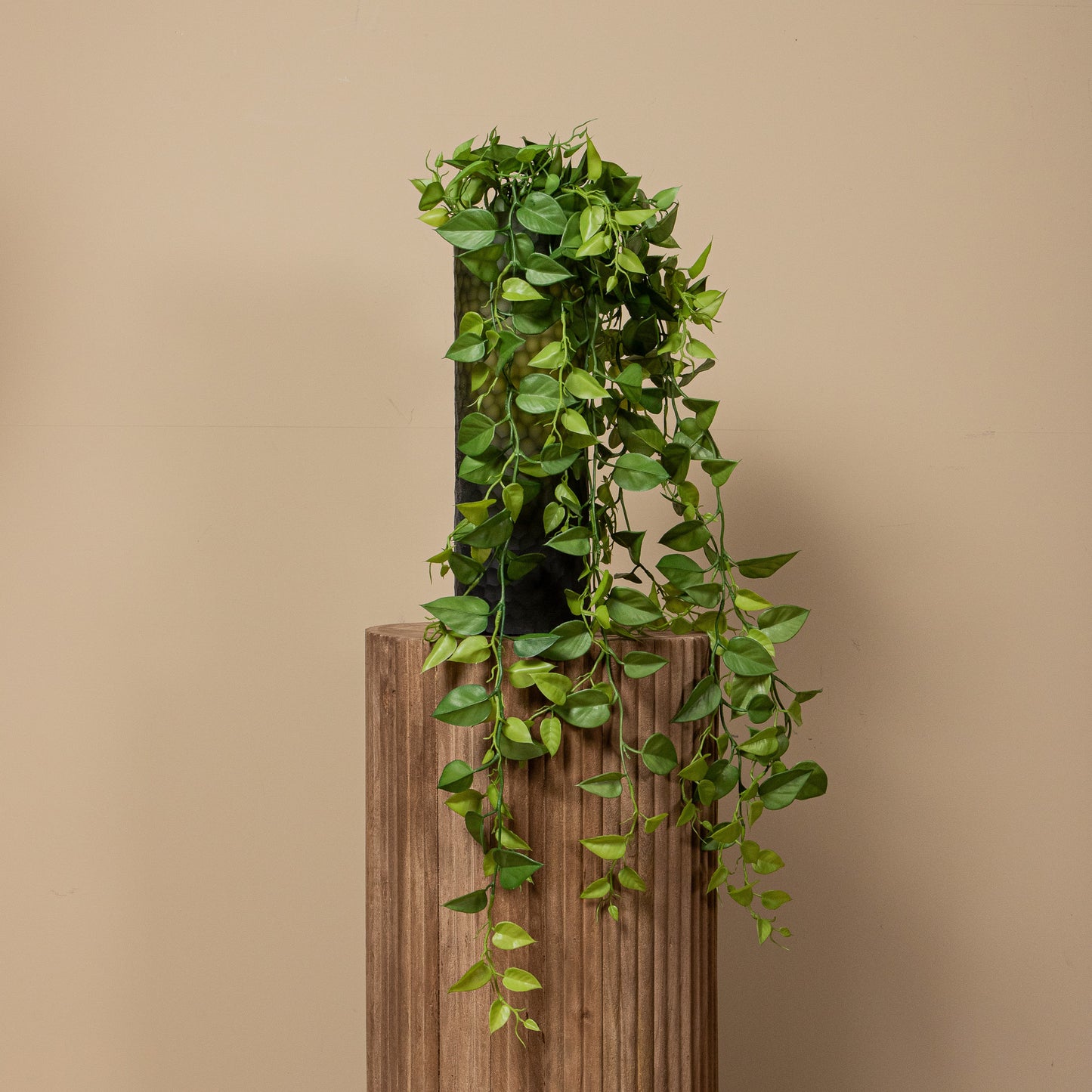 Leaves Plant Mos Groen Money Plant Hangend - Set van 12 119x104x30.5 cm