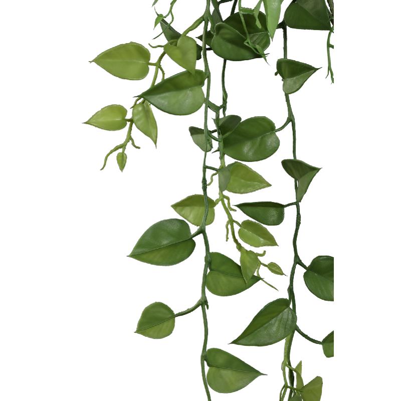 Leaves Plant Mos Groen Money Plant Hangend - Set van 12 119x104x30.5 cm