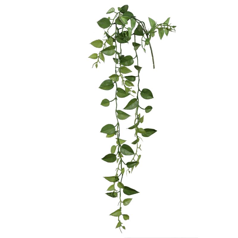 Leaves Plant Mos Groen Money Plant Hangend - Set van 12 119x104x30.5 cm