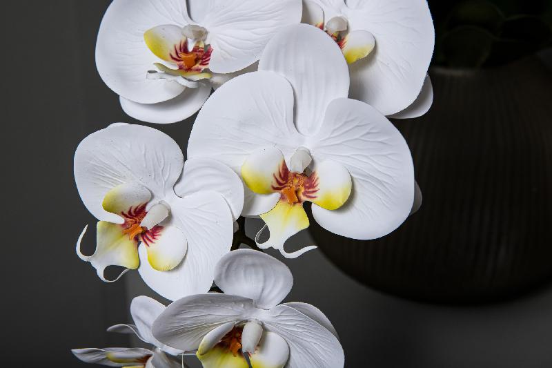 Orchidee Bloem Wit Phalaenopsis Spray Met Bladeren - Set van 12 78x28x17 cm