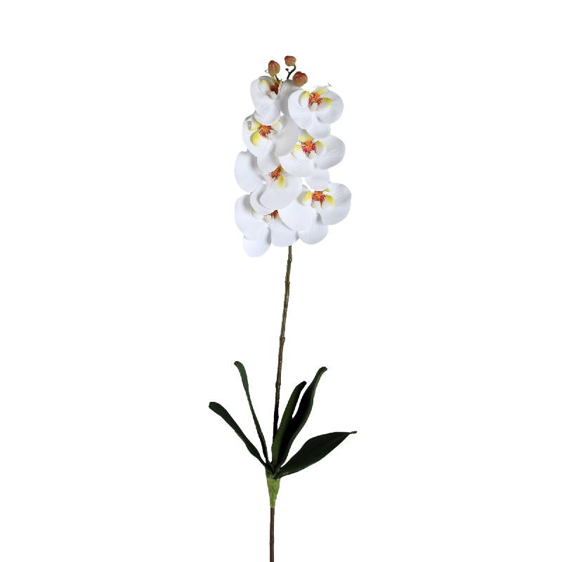Orchidee Bloem Wit Phalaenopsis Spray Met Bladeren - Set van 12 78x28x17 cm