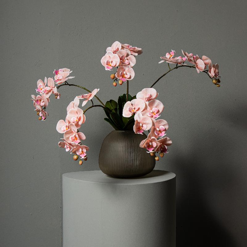 Orchidee Bloem Perzik Phalaenopsis Spray Met Bladeren - Set van 12 78x28x17 cm